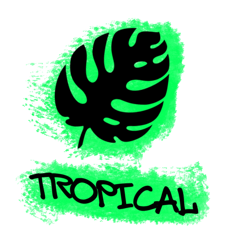 Cary Alliance Youth Sticker