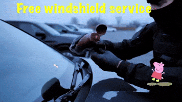 Free Windshield Service GIF