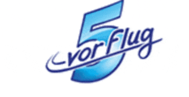 5vorflug GIF