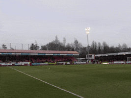 officialcrawleytownfc crawley crawley town town team together GIF