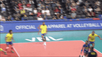 Brazil Save GIF by Volleyball World