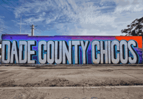 004connec GIF