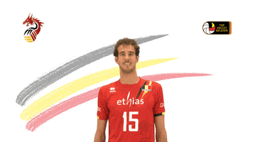Belgium Volleybal GIF by TopVolleyBelgium