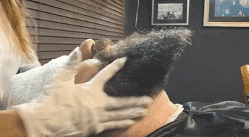 200.gif?cid=fc005b08bc5c80d25792084dfb0bcd226dbff08803dc9b56&rid=200.gif&ct=g