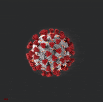Coronavirus Origin GIF