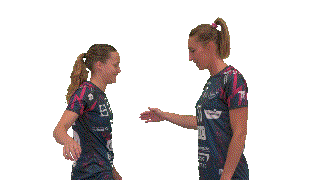 Celebration Handball Sticker by mhb33