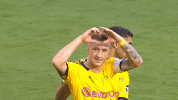 Borussia Dortmund Goal GIF