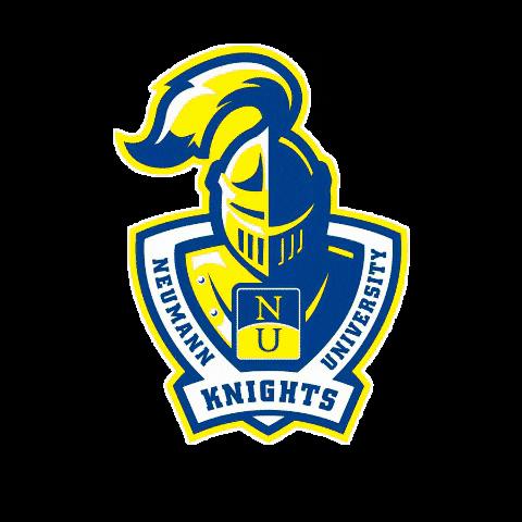 Animated GIF depicting a cartoon knight in armor giving a thumbs up and cheering, with the words “Go Knights!” appearing dynamically.