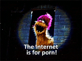 online shopping the internet is for porn GIF