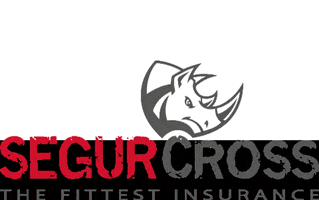 Segurcross GIF