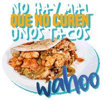 Wahoo Sticker