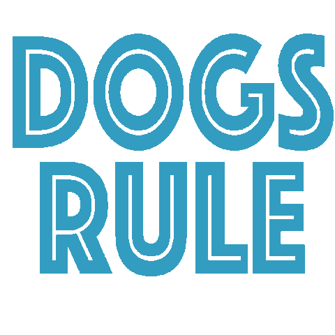 Pet Dogs Rule Sticker by teddytakesthecity for iOS & Android | GIPHY