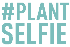Selfie Plant Sticker by Urban Jungle Bloggers