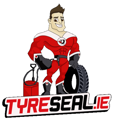 tyreseal.ie south dublin Sticker