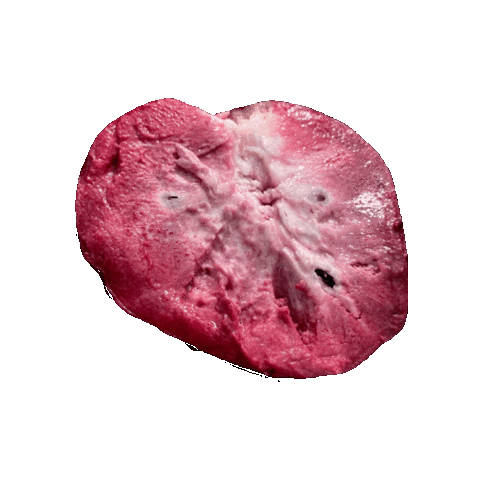 Tropical Fruit Annona Sticker by Miami Fruit