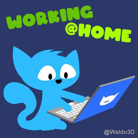 Waldo3D cat working laptop stressed GIF