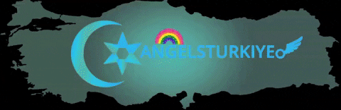 Gay Arkada GIF