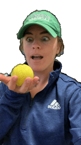 Lacrosse Sticker by Endicott Athletics