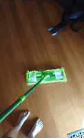 house cleaning GIF