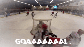 HockeyClubCaen hockey patinoire drakkars hockeyclubdecaen GIF