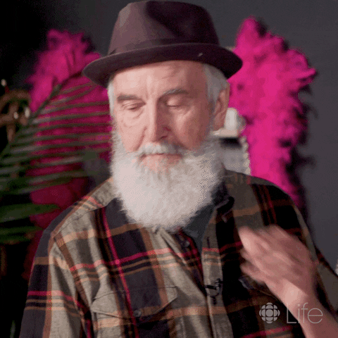oh no what GIF by CBC