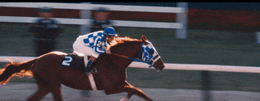 Secretariat GIFs - Get the best GIF on GIPHY