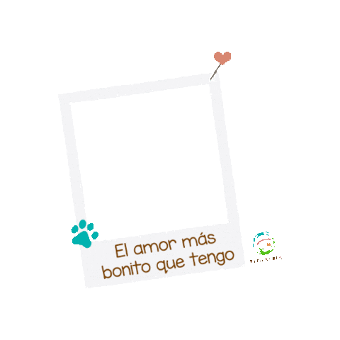 Petilandia Sticker