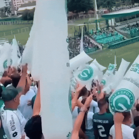 Goiasec GIF
