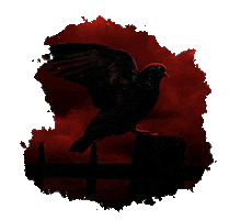 Amy Lee Sanctuary Sticker