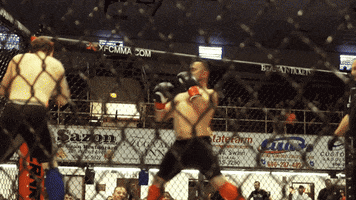 Fight Mma GIF by New Line Cagefighting