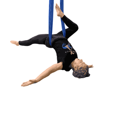 Cirque Aerialsling Sticker by CT Aerial Yoga