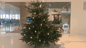 X-Mas Christmas GIF by Nmbrs