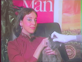 Jonathan Bree Cat GIF