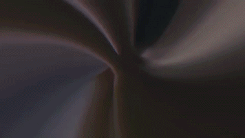 South Carolina GIF by Gamecock Student Tickets