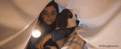 best friend dogs GIF by A Dog's Journey