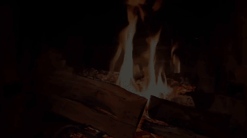 Animated GIF - Find & Share on GIPHY