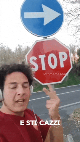 E Sti Cazzi GIF