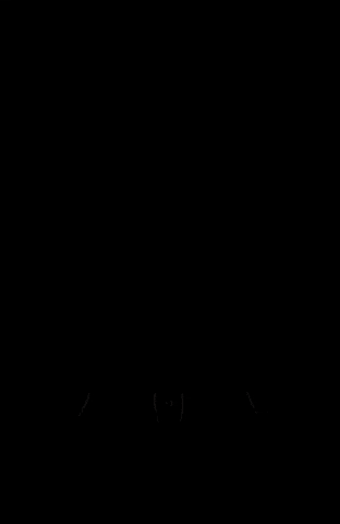 Black Air Forces GIF
