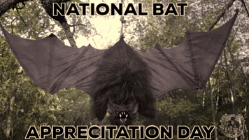bat GIF by Spirit Halloween