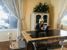 Professional Photography GIF