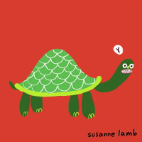 awkward turtle animated gif