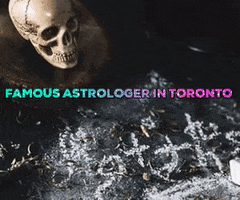 Astrologer In Toronto GIF