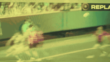 Mfc GIF