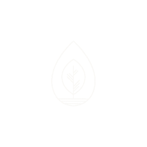 Seedlingdigital Sticker