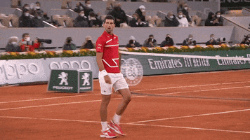 Come On Reaction GIF by Roland-Garros