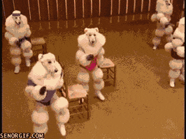 Video gif. Poodles in leotards and sweatbands march upright beside chairs before the video cuts to a view of a woman with awkwardly bulging limbs leading the workout at the front of a stage.