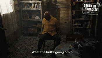 What The Hell GIF by Death In Paradise