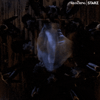 200.gif?cid=fc005b08860bedf590f02f329a82a4658dc382a06d0e32b0&rid=200.gif&ct=g
