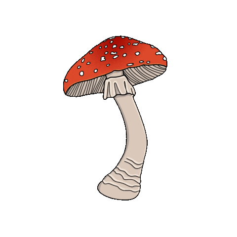 Mushroom Jelly Sticker