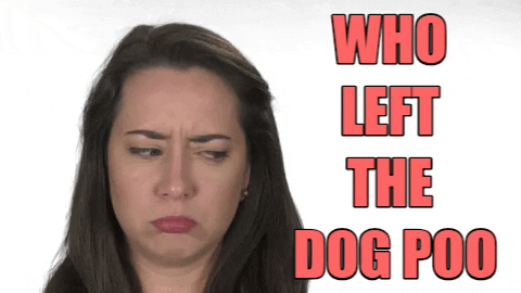 fail bad dog GIF by Apartment Guide